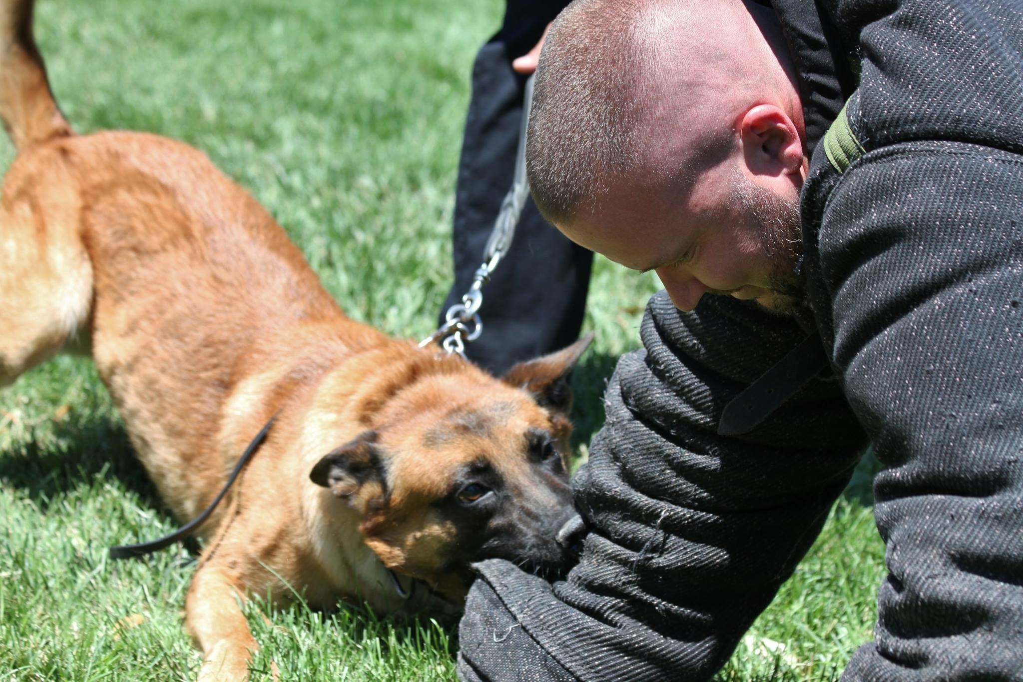 Ryan White working with a Belgian Malinois during K-9 obedience and protection training in DFW, Texas