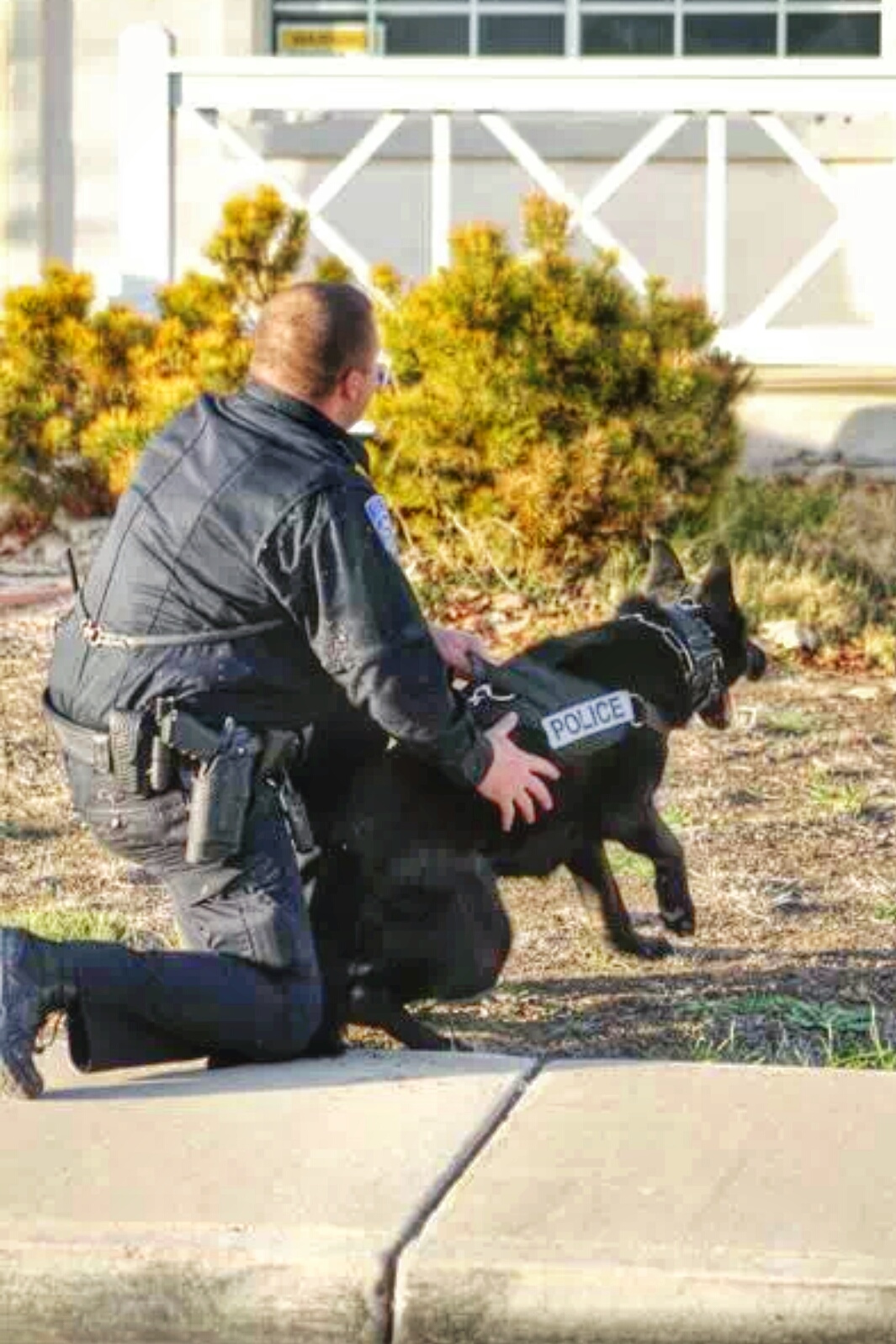 Ryan White in his police uniform kneeling with his K-9 partner wearing a POLICE vest during his 14 years as a law enforcement K-9 handler in DFW, TX